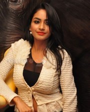 Sexy Pooja Sree At Khaan Saab Restaurant Launch Photos 05