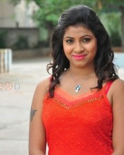 Telugu Actress Geetanjali Photoshoot Stills 10