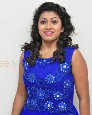 Telugu Actress Geethanjali Photoshoot Pics 11