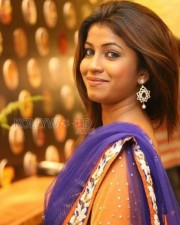 Telugu Actress Geethanjali Pictures 33