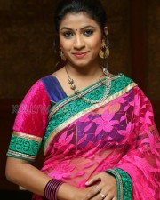 Telugu Actress Geethanjali Saree Photos 02