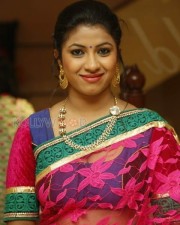 Telugu Actress Geethanjali Saree Photos 05