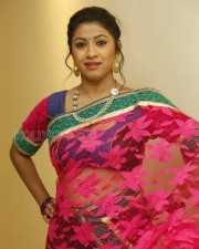 Telugu Actress Geethanjali Saree Photos 06