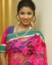 Telugu Actress Geethanjali Saree Photos 10