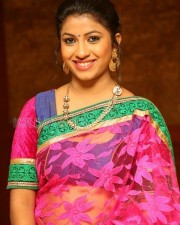 Telugu Actress Geethanjali Saree Photos 12