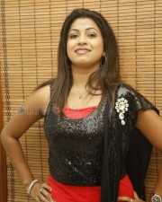 Telugu Actress Geethanjali Sexy Stills 16