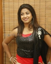 Telugu Actress Geethanjali Sexy Stills 17