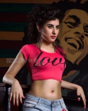 Tollywood Actress Archana Veda Sexy Photoshoot Photos 20