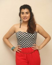 Tollywood Film Actress Archana Latest Pictures 12