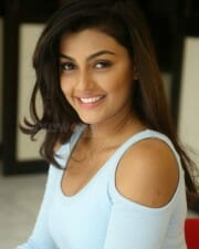 Beautiful Anisha Ambrose Photos 62