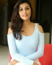 Beautiful Anisha Ambrose Photos 77