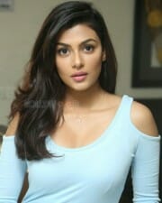 Beautiful Anisha Ambrose Photos 93