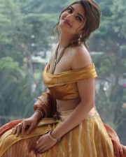 Beautiful Sreeleela in a Golden Yellow Saree Photos 03