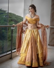 Beautiful Sreeleela in a Golden Yellow Saree Photos 04