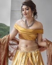 Beautiful Sreeleela in a Golden Yellow Saree Photos 05