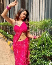 Kya Masti Kya Dhoom Actress Eshanya Maheshwari Sexy Saree Photos 06