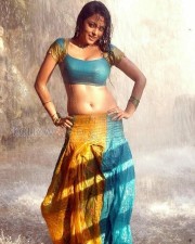 Actress Meenakshi Hot Sexy Wet Pictures 17