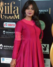 Actress Monal Gajjar At Iifa Utsavam 2017 Pictures 03