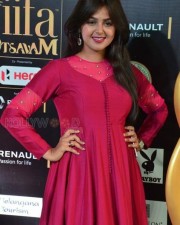 Actress Monal Gajjar At Iifa Utsavam 2017 Pictures 06