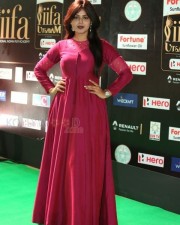 Actress Monal Gajjar At Iifa Utsavam 2017 Pictures 12