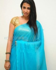 Gayathiri Iyer Sexy Saree Pictures 13