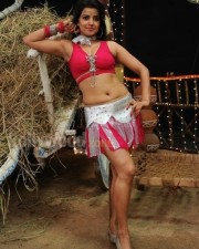 Madhu Sharma Hot Pictures 13