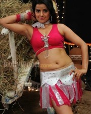 Madhu Sharma Hot Pictures 14