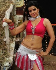 Madhu Sharma Hot Pictures 17