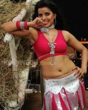 Madhu Sharma Hot Pictures 18