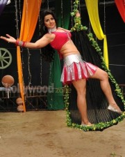 Madhu Sharma Hot Pictures 22