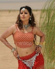 Madhu Sharma Pictures 26