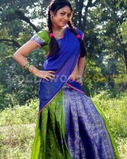 Meenakshi Sexy Stills 37