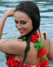 Nadigayin Diary Heroine Sana Khan Hot Spicy Pictures 18