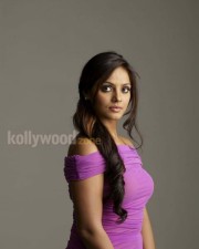 Neetu Chandra Sexy Photos 65