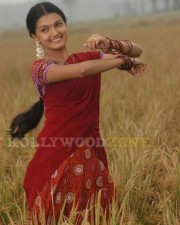 Saranya Mohan Photos 11