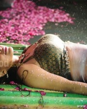 Sheena Hot Pictures 01