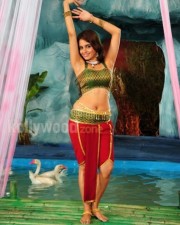 Sheena Hot Pictures 06