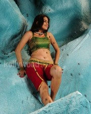 Sheena Hot Pictures 10