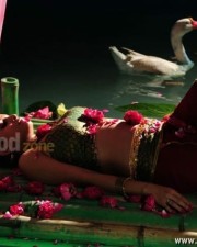 Sheena Hot Pictures 11