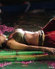 Sheena Hot Pictures 13