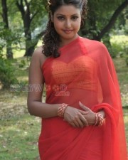 Fotos da atriz telugu Komal Jha 28