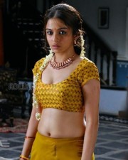 Telugu Actress Sheena Hot Pictures 06