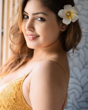 Welcome Wedding Actress Komal Jha Photoshoot Pictures 08