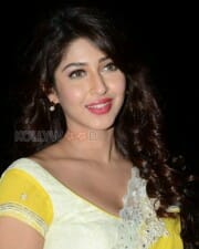 Actress Sonarika Bhadoria Sexy Stills 24