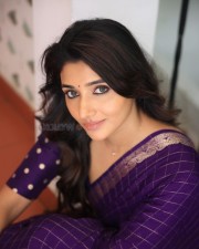 Birthmark Actres Mirnaa Menon in a Purple Saree Photos 01