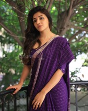 Birthmark Actres Mirnaa Menon in a Purple Saree Photos 04