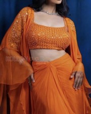 Gorgeous Meenakshi Chaudhary in a Striking Orange Dress Photos 02