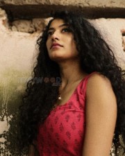 Malayalam Beauty Anjali Nair Photoshoot Pictures 15