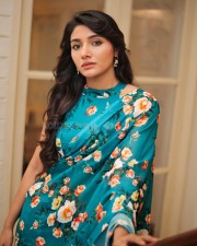 Sexy Mirnaa Menon in a Kalamkari Printed Saree Pictures 04