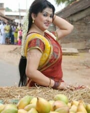 Sona Hot Pictures 16